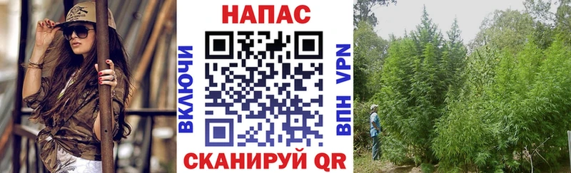 купить   OMG ССЫЛКА  МАРИХУАНА White Widow  Кремёнки 